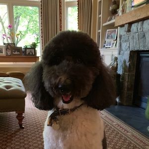 Meet your Posher, Lisa